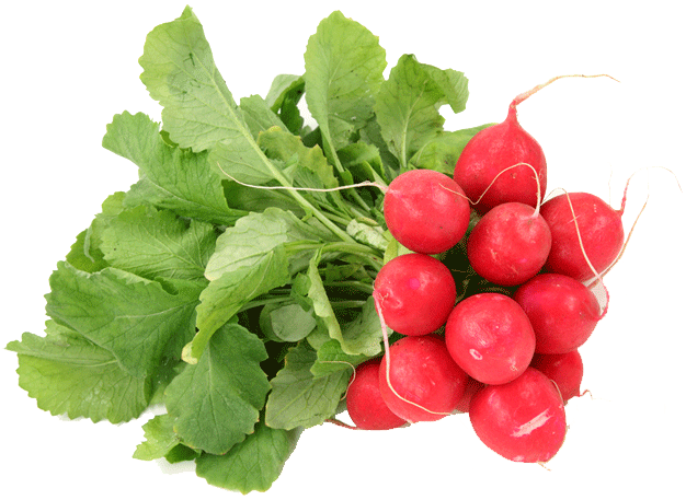 Value Center Market  red radish Full-Size Picture